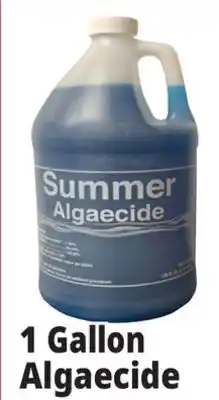 Ocean State Job Lot Summer Algaecide 1 Gal offer