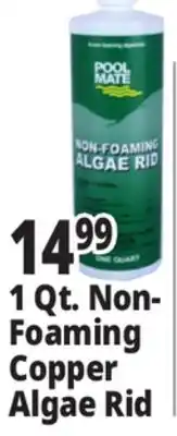 Ocean State Job Lot Pool Mate Non-Foaming Algae Rid 1 Qt offer