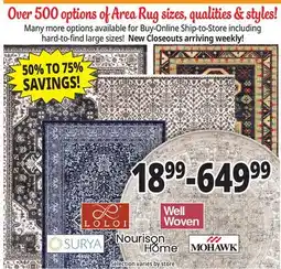 Ocean State Job Lot Area Rugs offer