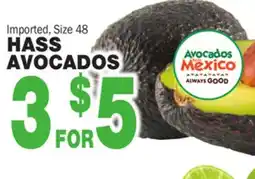 Bravo Supermarkets HASS AVOCADOS offer