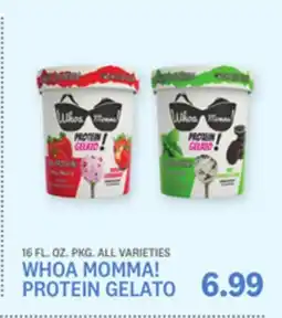 Kings Food Markets WHOA MOMMA! PROTEIN GELATO offer