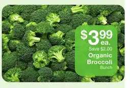 Fairway Store Market Organic Broccoli Bunch offer