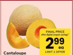 ACME Cantaloupe offer