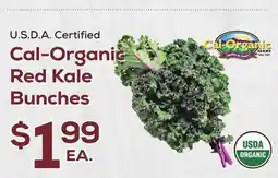DeCicco & Sons Cal-Organic Red Kale Bunches offer