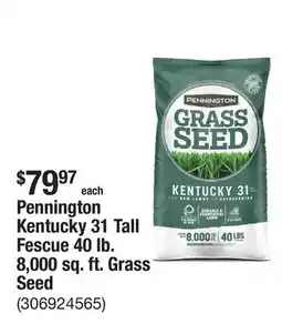 The Home Depot Pennington Kentucky 31 Tall Fescue 40 lb. 8,000 sq. ft. Grass Seed offer