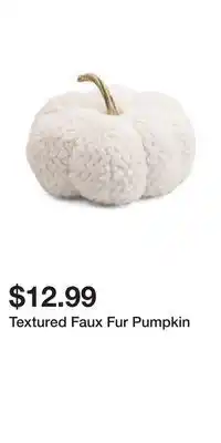 TJ Maxx Textured Faux Fur Pumpkin offer