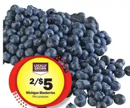 Meijer Michigan Blueberries offer