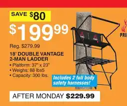 Dunham's Sports 18' DOUBLE VANTAGE 2-MAN LADDER offer
