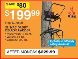 Dunham's Sports 22' MAC DADDY DELUXE LADDER offer