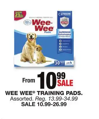 Blain's Farm & Fleet WEE WEE TRAINING PADS offer