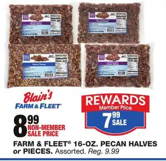 Blain's Farm & Fleet FARM & FLEET 16-OZ. PECAN HALVES OR PIECES offer