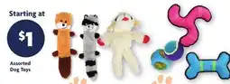 Family Dollar Assorted Dog Toys offer