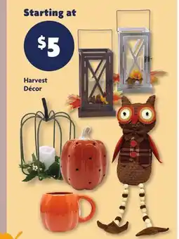Family Dollar Harvest Décor offer