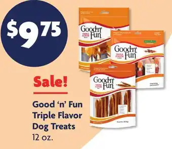 Family Dollar Good'n'Fun Triple Flavor Dog Treats offer
