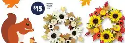 Family Dollar Harvest Wreath offer