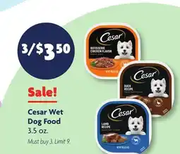 Family Dollar Cesar Wet Dog Food offer