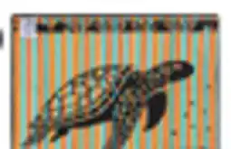 Big 5 Dahdoul 28 x 55 Beach Towel offer