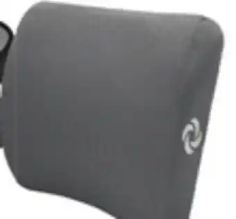 Big 5 Samsonite Gel Infused Memory Foam Lumbar Support Cushion offer