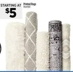 Dollar General Printed Rugs offer