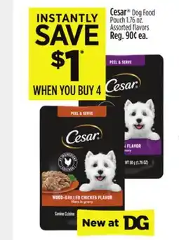 Dollar General Cesar Dog Food Pouch offer