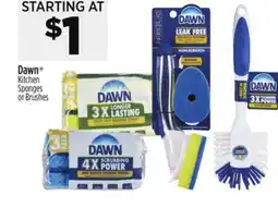 Dollar General Dawn Kitchen Sponges or Brushes offer