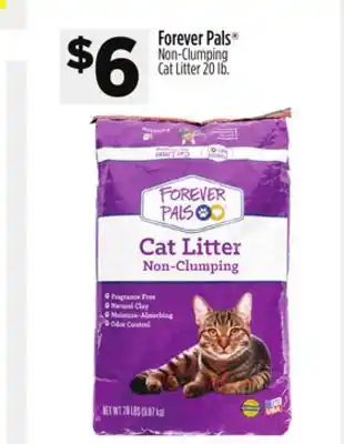 Dollar General Forever Pals Non-Clumping Cat Litter offer