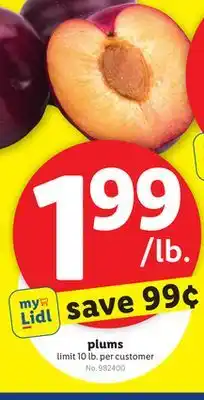 Lidl plums offer