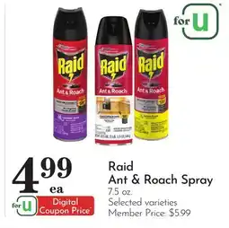 Pavilions Raid Ant & Roach Spray offer