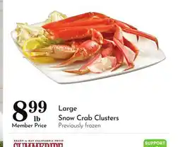 Pavilions Large Snow Crab Clusters offer