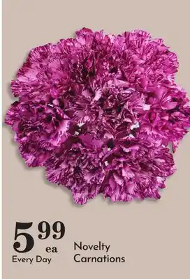 Pavilions Novelty Carnations offer