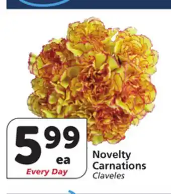 Vons Novelty Carnations offer