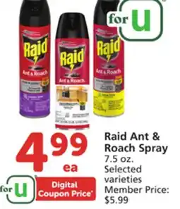 Albertsons Raid Ant & Roach Spray offer