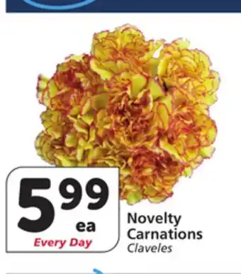 Albertsons Novelty Carnations offer