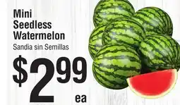 Smart & Final Mini Seedless Watermelon offer