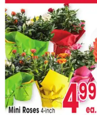 Jewel-Osco Mini Roses offer
