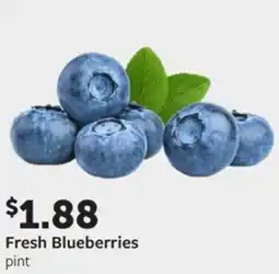 Fareway Fresh Blueberries offer