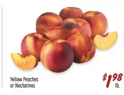 Sprouts Farmers Market Yellow Peaches or Nectarines offer