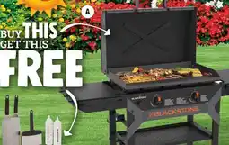 Ace Hardware Blackstone Iron Forged 2-Burner Outdoor Griddle with Hood offer