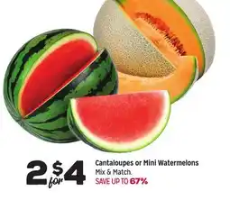 Grocery Outlet Cantaloupes or Mini Watermelons offer