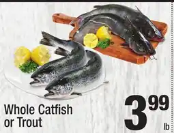 Super King Markets Whole Catfish or Trout offer