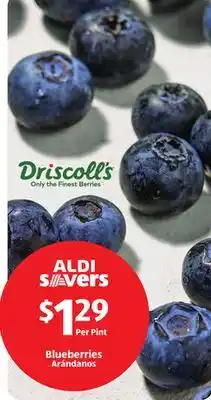 Aldi Blueberries offer