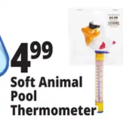 Ocean State Job Lot SwimWorks Deluxe Floating Thermometer offer