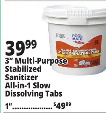 Ocean State Job Lot 3 Multi-Purpose Stabilized Sanitizer All-in-1 Slow Dissolving Tabs offer