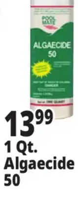Ocean State Job Lot 1 Qt. Algaecide 50 offer