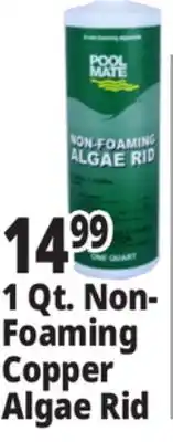 Ocean State Job Lot 1 Qt. Non- Foaming Copper Algae Rid offer