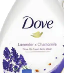 Ocean State Job Lot Dove Body Wash offer