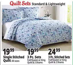 Ocean State Job Lot Quilt Sets offer