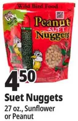 Ocean State Job Lot C&S Sunflower Suet Nuggets 27 oz offer