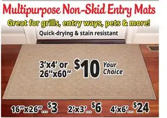Ocean State Job Lot Multipurpose Non-Skid Entry Mats offer