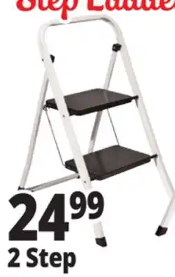 Ocean State Job Lot Neat Living 2-Step Folding Ladder 31.7 offer